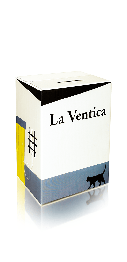 blanco web